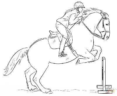 Лошади и всадники стоковое фото. изображение насчитывающей лошадь -  166881918