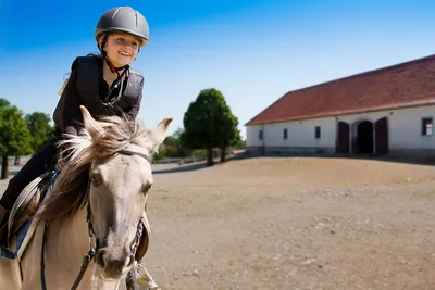 Практическое руководство по конному спорту Том 1. Начальная подготовка  всадника и лошади - купить с доставкой по выгодным ценам в  интернет-магазине OZON (781588522)