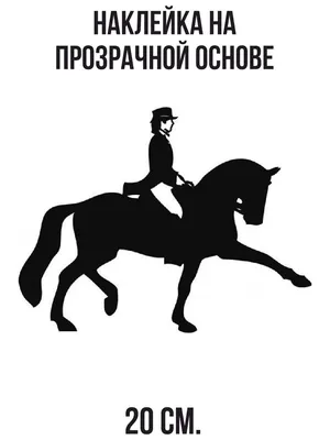 Усмехаясь человек всадника на лошади Стоковое Изображение - изображение  насчитывающей лошадь, ферма: 133454647