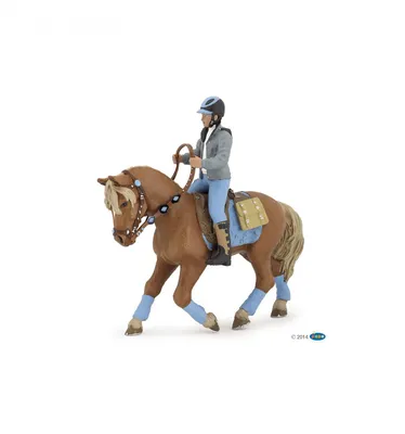 Всадник Верхом На Лошади — стоковые фотографии и другие картинки Лошадь -  Лошадь, Ездить на лошади, Женщины - iStock