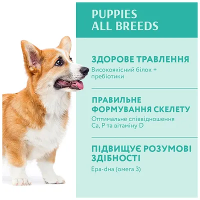 DARSI, Сухой корм для собак всех пород, Active, Телятина, 10 кг, 37100,  купить оптом в Москве от компании КОНТИНЕНТЗОО