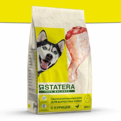 Pro Plan Acti Protect сухой корм, для взрослых собак всех пород с  чувствительным пищеварением с высоким содержанием ягненка - 3 кг | Купить в  Москве