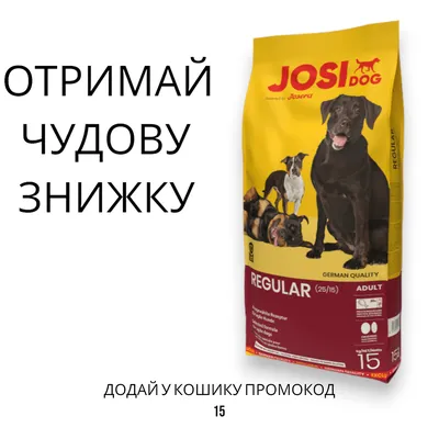Купить Statera Сухой корм для взрослых собак всех пород с курицей в  интернет-магазине Zoomarket