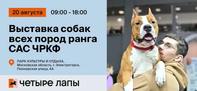 MamyNat Dog Adult Standard для взрослых собак всех пород, 20 кг | купить в  Минске