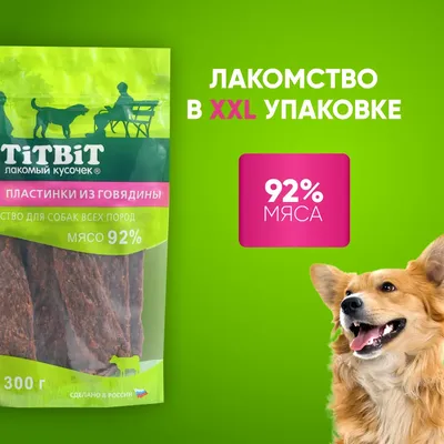Сухой корм для щенков собак всех пород, Shelly, с ягненком купить с  доставкой в интернет-магазине зоогастроном.ру