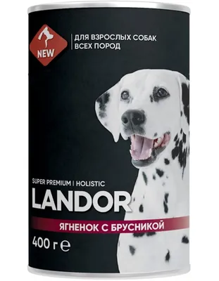 Сухой корм для собак Pro Plan JM Joint Mobility для всех пород для  поддержки работы суставов 3 кг | Купить в Москве