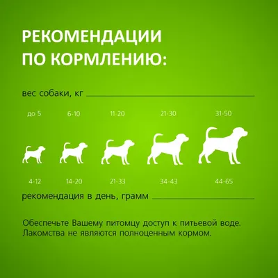 португусовый склеп. набор цветов всех пальто. все породы собак Иллюстрация  вектора - иллюстрации насчитывающей диаграмма, конструкция: 259180312