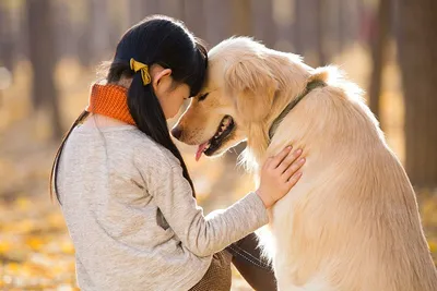 Безумный собачник, который, кажется, задался целью спасти всех собак на  свете » BigPicture.ru