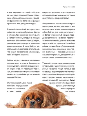 Топ-15 самых больших собак с фото и описанием – ProPlan.ru