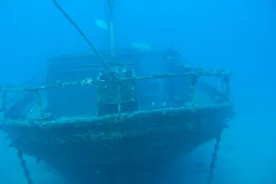 Экспедиция в Балтийском море обнаружила затонувший 300 лет назад корабль |  ИА Красная Весна