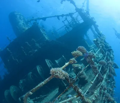 Wreck Diving - погружения на затонувшие объекты | Обучение дайвингу - Scuba  Academy