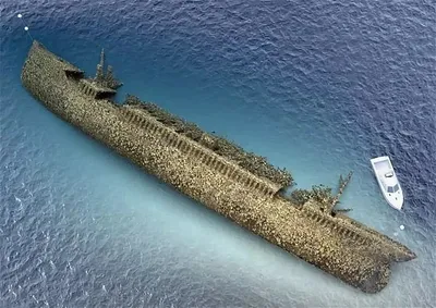 ТОП - 5 лучших в мире затонувших кораблей для погружений | Планета Земля |  Дзен