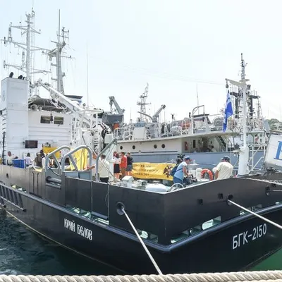 Черноморский флот выделит оборудование для исследования затонувших военных  кораблей - KP.RU