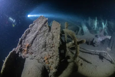 У берегов Шотландии найден затонувший военный корабль времен Первой мировой  - Газета.Ru | Новости