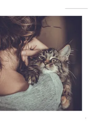Девушка с котом. Фотограф Елена Чернигина