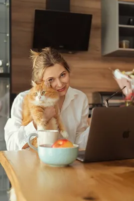 Девушка с котом | Домашние фотосессии, Идеи для фото, Рыжий кот