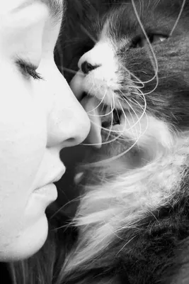 Женщины и коты, мужчины и кошки, Марта Кетро – скачать книгу fb2, epub, pdf  на ЛитРес