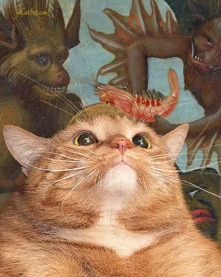 портрет смешного жирного кота с большими глазами. питомец, сидящий в сп  Стоковое Фото - изображение насчитывающей кошачий, снаружи: 220070764