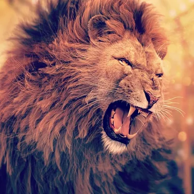 Злой лев в огне» — создано в Шедевруме