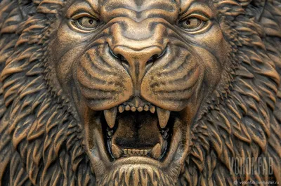 Рычащего льва в хорошем качестве - картинки и фото koshka.top