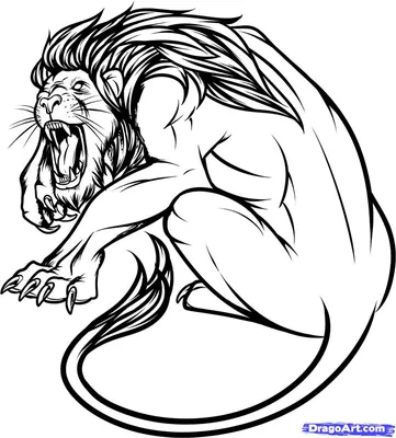 Картинки лев Клыки злой животное