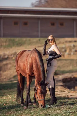 Экслюзивные Фотосессии с Лошадьми