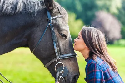 Фотосессия с лошадьми - Как сделать красиво? | MAPI7