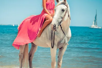 Фотосессия с лошадью с пони Днепр, верховая езда конный спорт обучение -  Фотосъемка и ретушь фото Днепр на Olx
