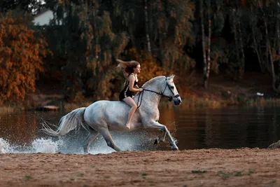 Как провести фотосессию с лошадьми? | ИРС | Дзен