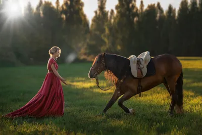 Фотосессии с лошадьми и др. животными | Конюшня Табун д Тарасово
