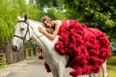 Фотосессия с лошадью | Ferrari - Конный клуб Днепр