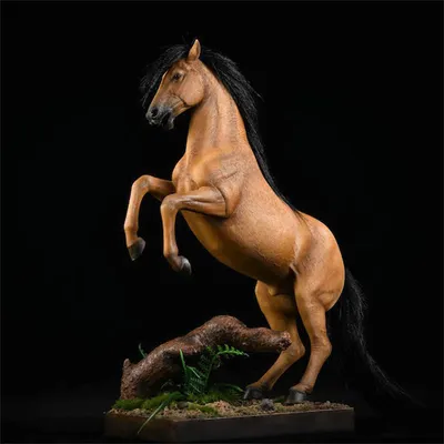 Rousseau 17.1h KWPN stallion | Выездка лошадей, Фотографии лошадей, Ганноверская  лошадь