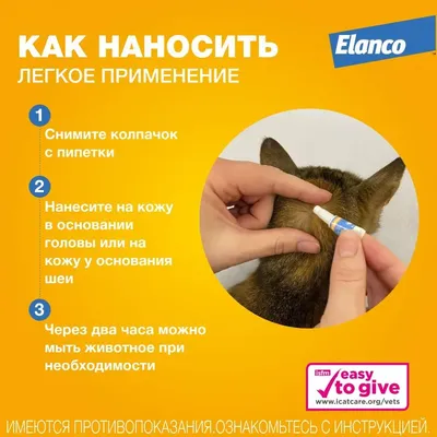Капли на холку Профендер для кошек от 5 до 8 кг от гельминтов – купить в  Москве, цены | Интернет-магазин Динозаврик