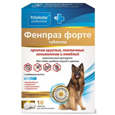 Суспензия Празител плюс от глистов для собак средних и крупных пород -  купить с доставкой по выгодным ценам в интернет-магазине OZON (159261324)
