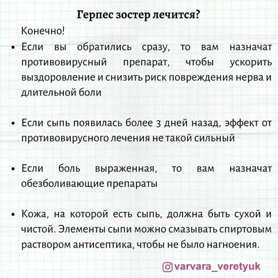 Сколько стоит лечение кошек, собак и енотов: 9 историй о дорогостоящей  медицинской помощи домашним животным