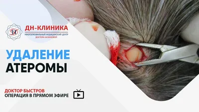 Герпес у собак: как обнаружить, чем лечить и опасен ли он для человека |  Hill's