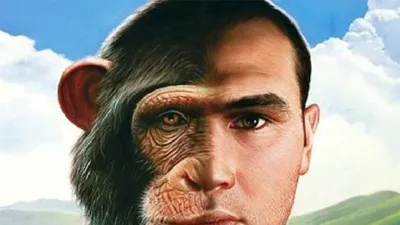 Гибрид человека-обезьяны