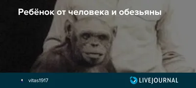 Как в СССР создавали гориллоидов, или Жуткие опыты советского «доктора  Моро» Ильи Иванова