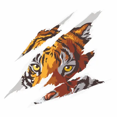 Крупным Планом Глаз Тигра — стоковые фотографии и другие картинки Агрессия  - Агрессия, Африка, Бенгальский тигр - iStock