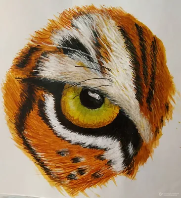 Картина на досках \"Тигр. Глаз Тигра \" - купить по низкой цене в  интернет-магазине OZON (252354965)