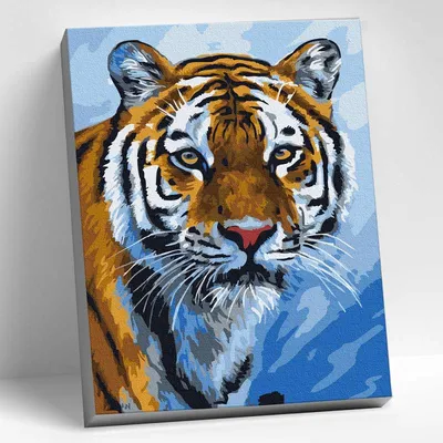 Глаз Тигра — стоковые фотографии и другие картинки Белый тигр - Белый тигр,  Без людей, Белый - iStock