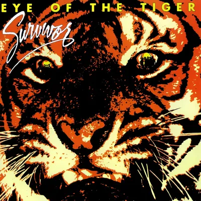 Белый глаз тигра стоковое изображение. изображение насчитывающей блестнян -  26263851
