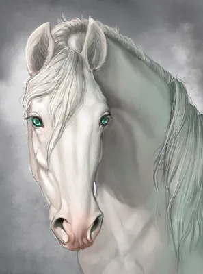 Глаз лошади | Пикабу
