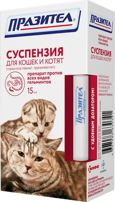Купить Празицид-суспензия Плюс от гельминтов для котят - доставка, цена и  наличие в интернет-магазине и аптеках Доктор Вет