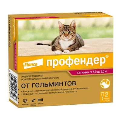 Мильбемакс таблетки от глистов для котят и молодых кошек - 2 таблетки -  купить в Москве | КотМатрос