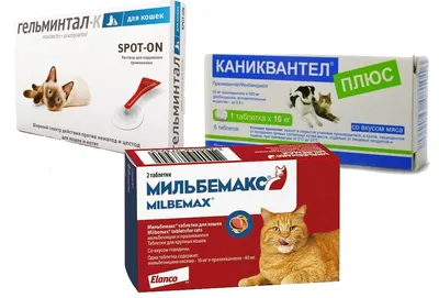 Таблетки для кошек более 4 кг Гельминтал, от гельминтов, 2 шт в mirkorma.ru