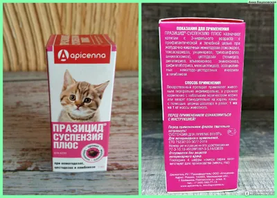Милпразон для котят и кошек весом до 2 кг, от гельминтов. уп 2 таб. купить  недорого