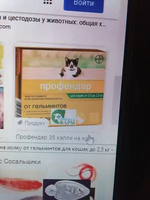 Празител суспензия от глистов для кошек и котят купить в Москве в  зоомагазине, цены - Сами с Усами
