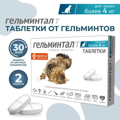 Капли (Inspector) Quadro К (1пип) от блох, клещей и глистов для кошек от 4  до 8кг (ЛИЦЕНЗИЯ), купить оптом в Москве, цена, характеристики, описание -  Симбио - ЗооЛэнд