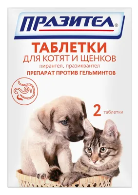 Фенпраз таблетки от глистов для кошек и котят, 6 таб - купить с доставкой  по выгодным ценам в интернет-магазине OZON (913242157)